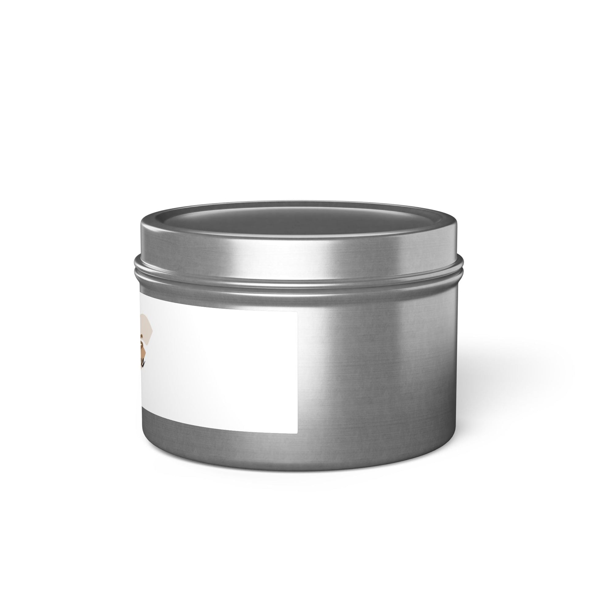 Bougie aromatisée "Des bougies et des livres" - Les Objets du Chapitre - 76411524271566957778 - 118ml - Argent